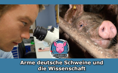 Die armen Schweine und Deutsche Wissenschaftler