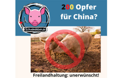 200 Opfer für China? Ach, sind nur Schweine…