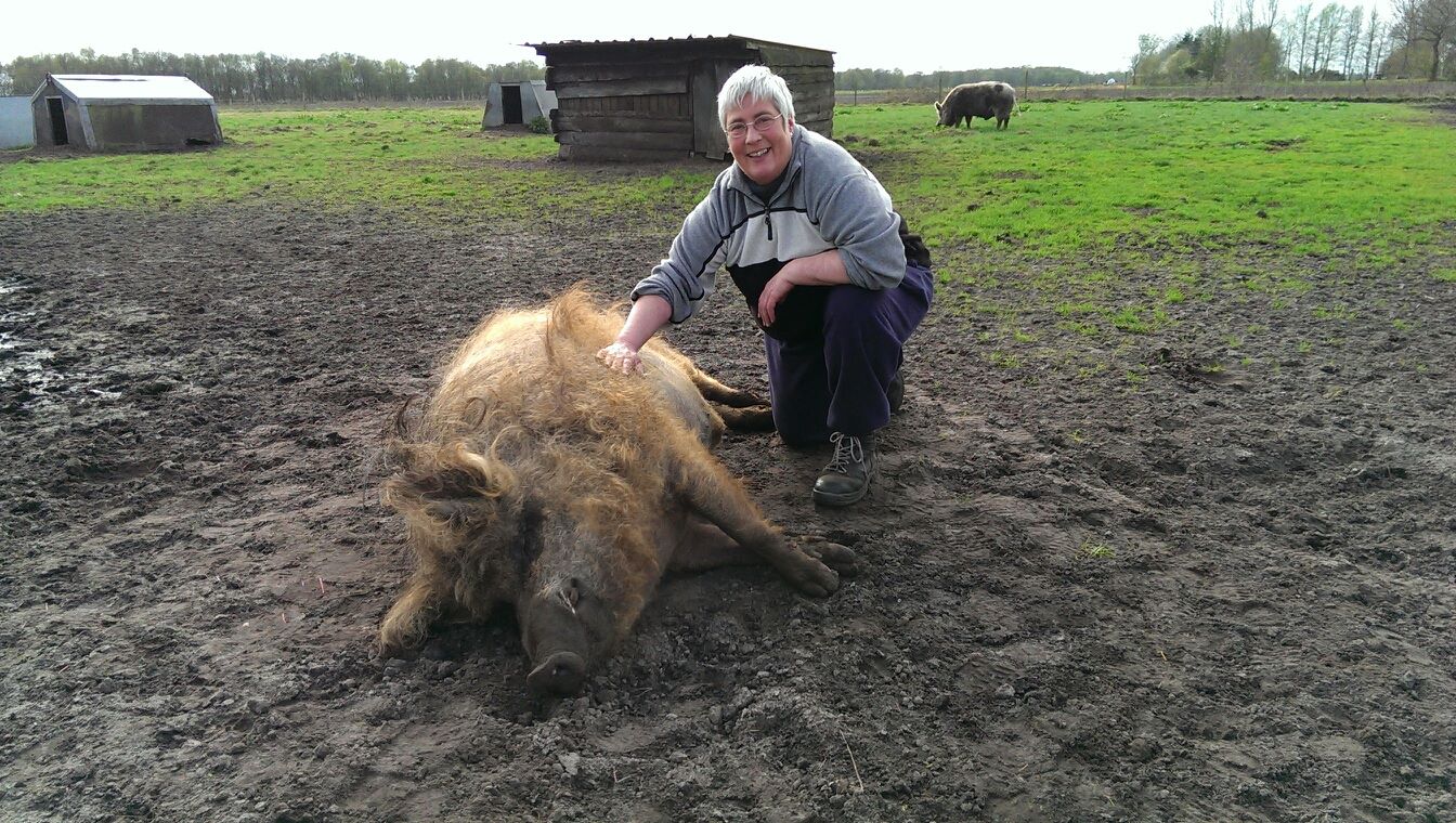 sabineduda_teamseite Sabine Duda mit Wollschwein