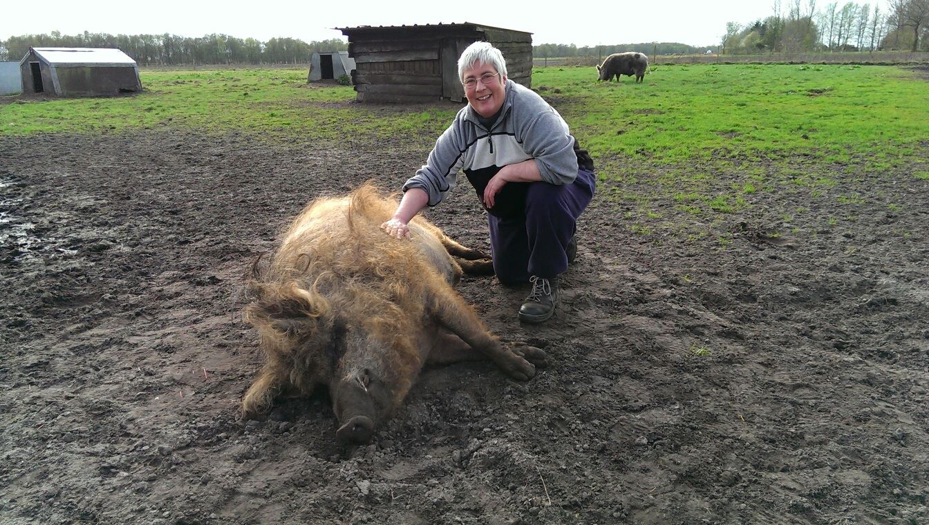 Sabine Duda mit Wollschwein