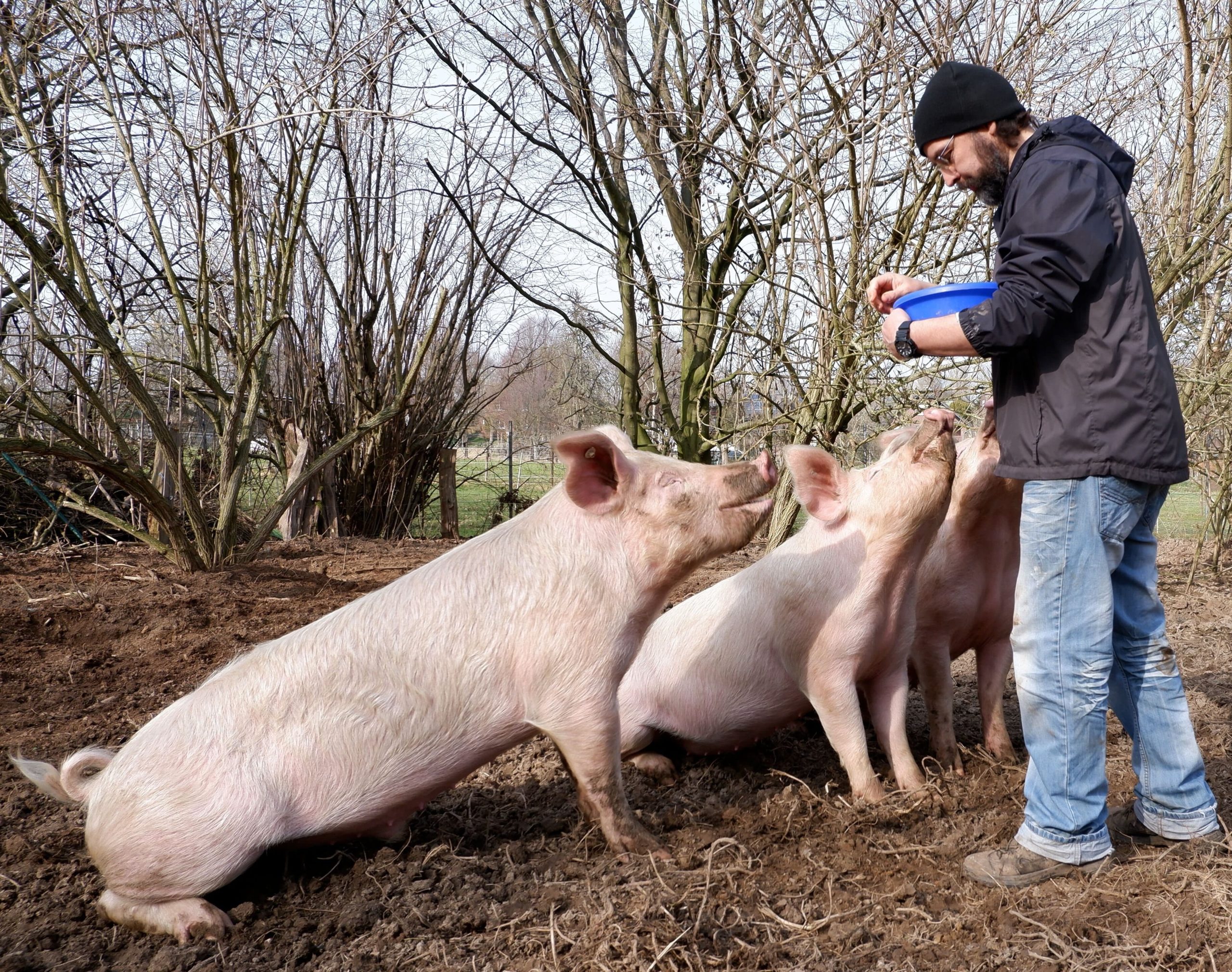schweineundjoerg_teamseite_kompremiert Schweine und Jörg