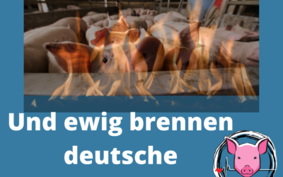 Und ewig brennen die Schweineställe
