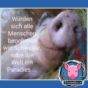 Würden sich alle Menschen wie Schweine benehmen