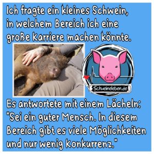 Ein kleines Schwein