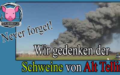 Namen für die Schweine von Alt Tellin
