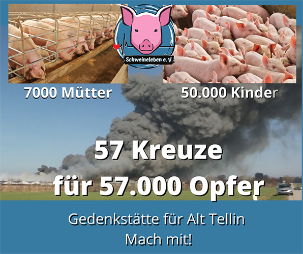 Kreuzzug für die Schweine von Alt Tellin