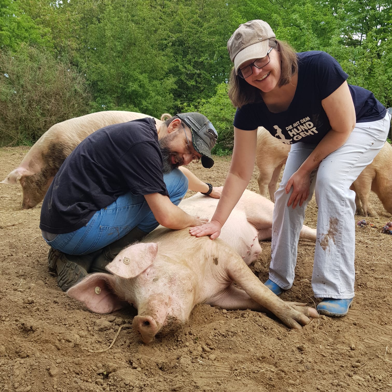 Heinsberger Schweinebande