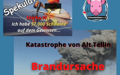 Marko W. „Ich habe 57.000 Schweine auf dem Gewissen“