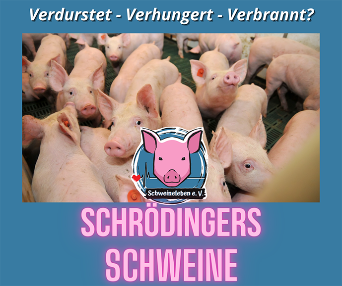 Schrödingers Schweine - Deutschland schaut weg