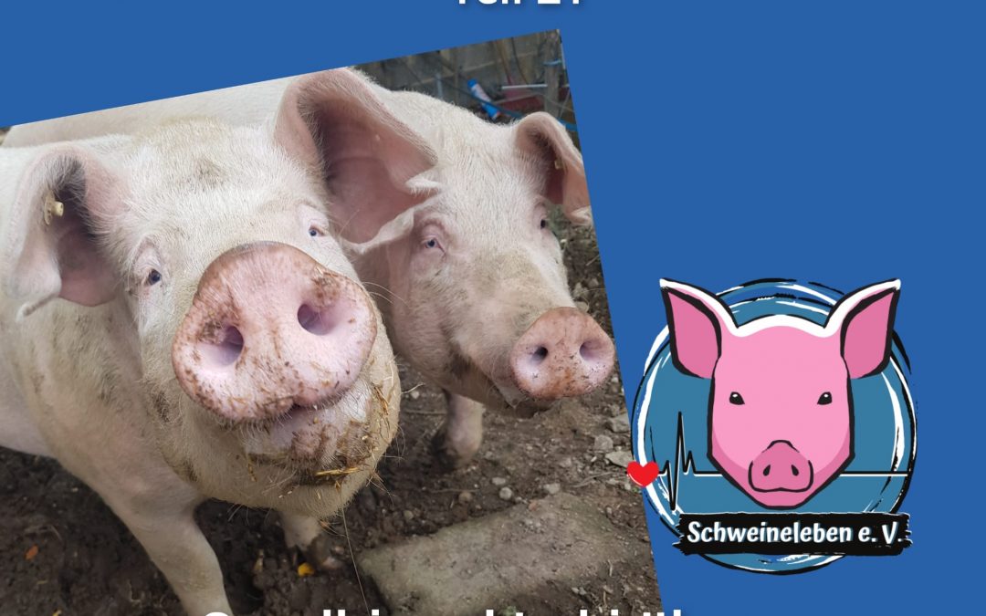 Das Oink zum Sonntag Teil 21 - Schweinische Redewendungen