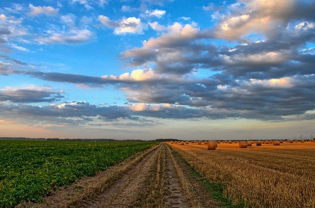 Feldweg Landwirtschaft