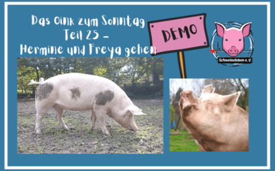 Das Oink zum Sonntag (Teil 25) – Hermine und Freya gehen DEMO (von Sabine Kipka)