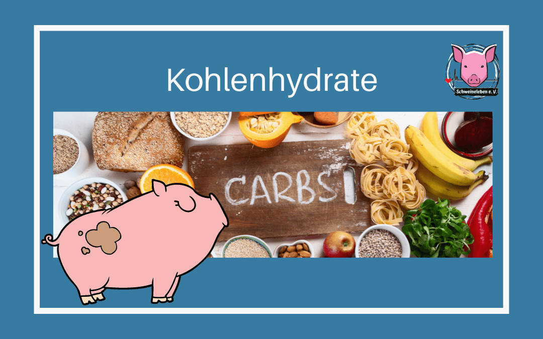 Schweine als Heimtiere - Kohenhydrate
