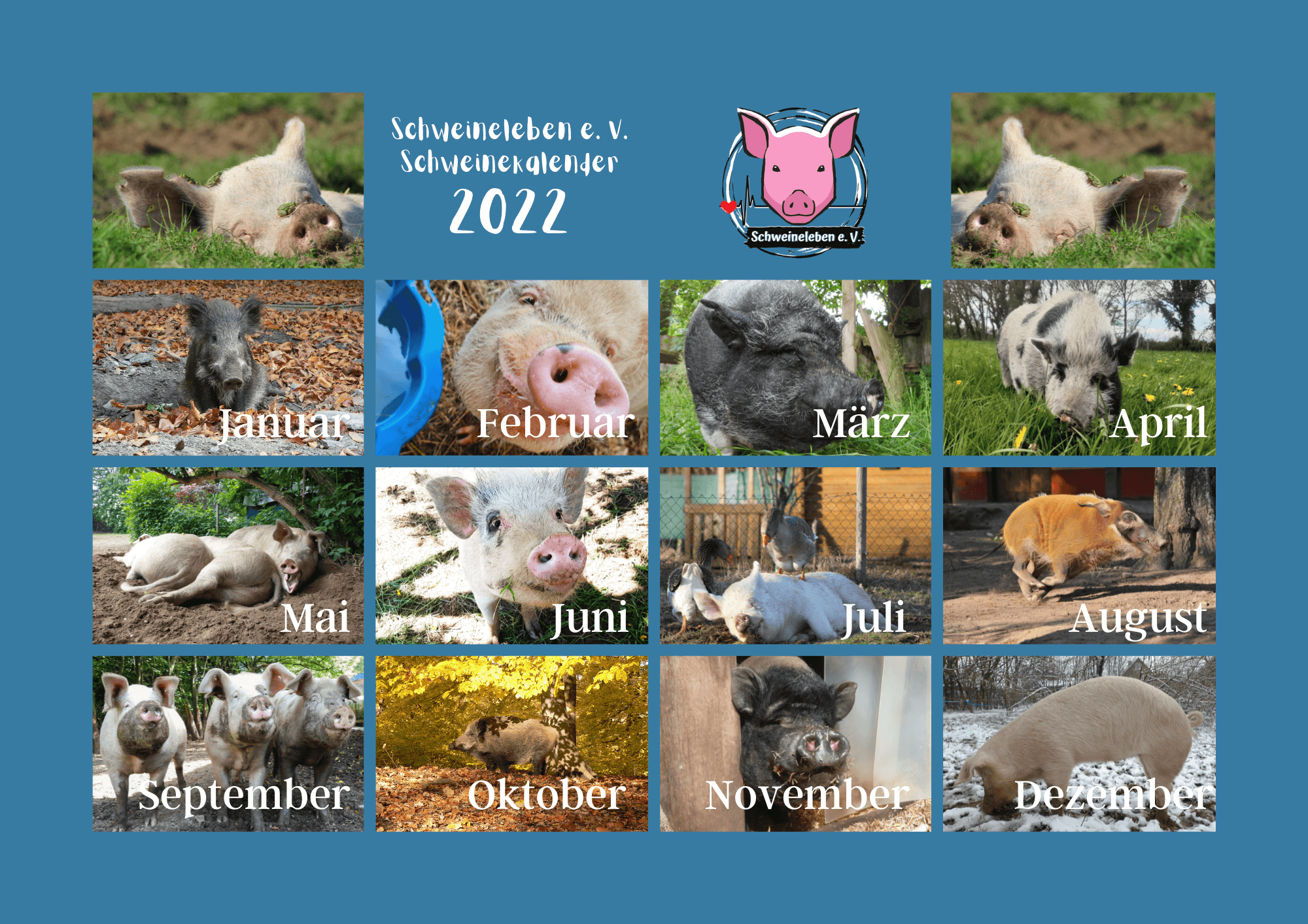 Schweinekalender 2022 - Kalenderblatt - Übersicht