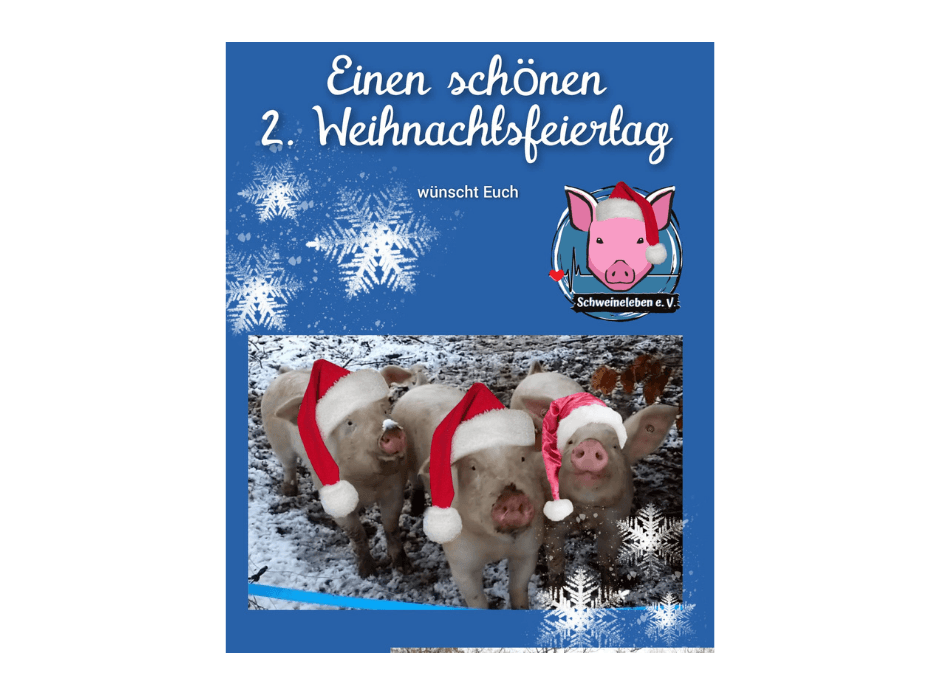 Schweineleben e. V. 2. Weihnachtsfeiertag