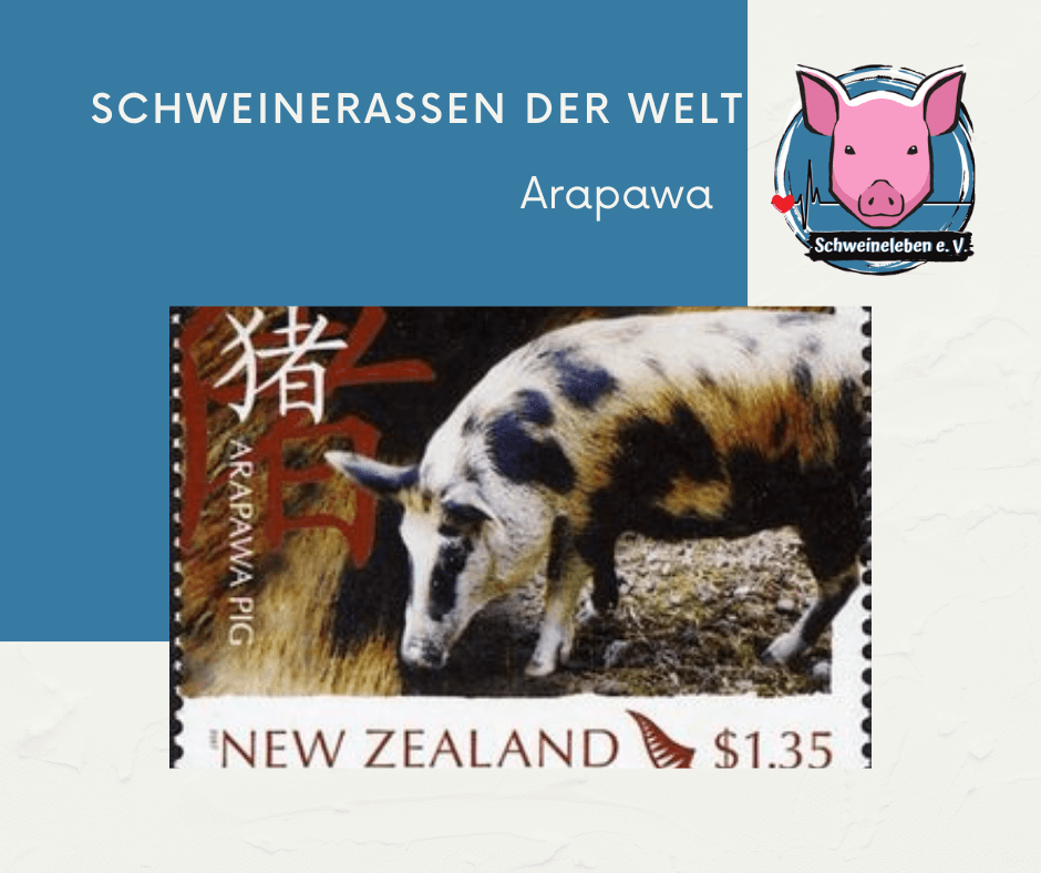Arapawa Briefmarke