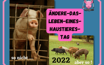24. Januar – Ändere das Leben eines Haustieres – Tag
