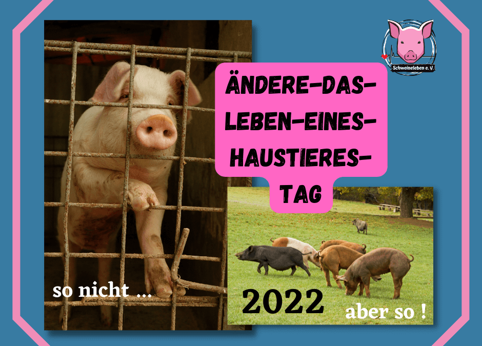 Ändere das Leben eines Haustieres Tag 2022