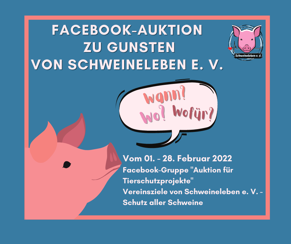 Facebook Auktion Februar 2022