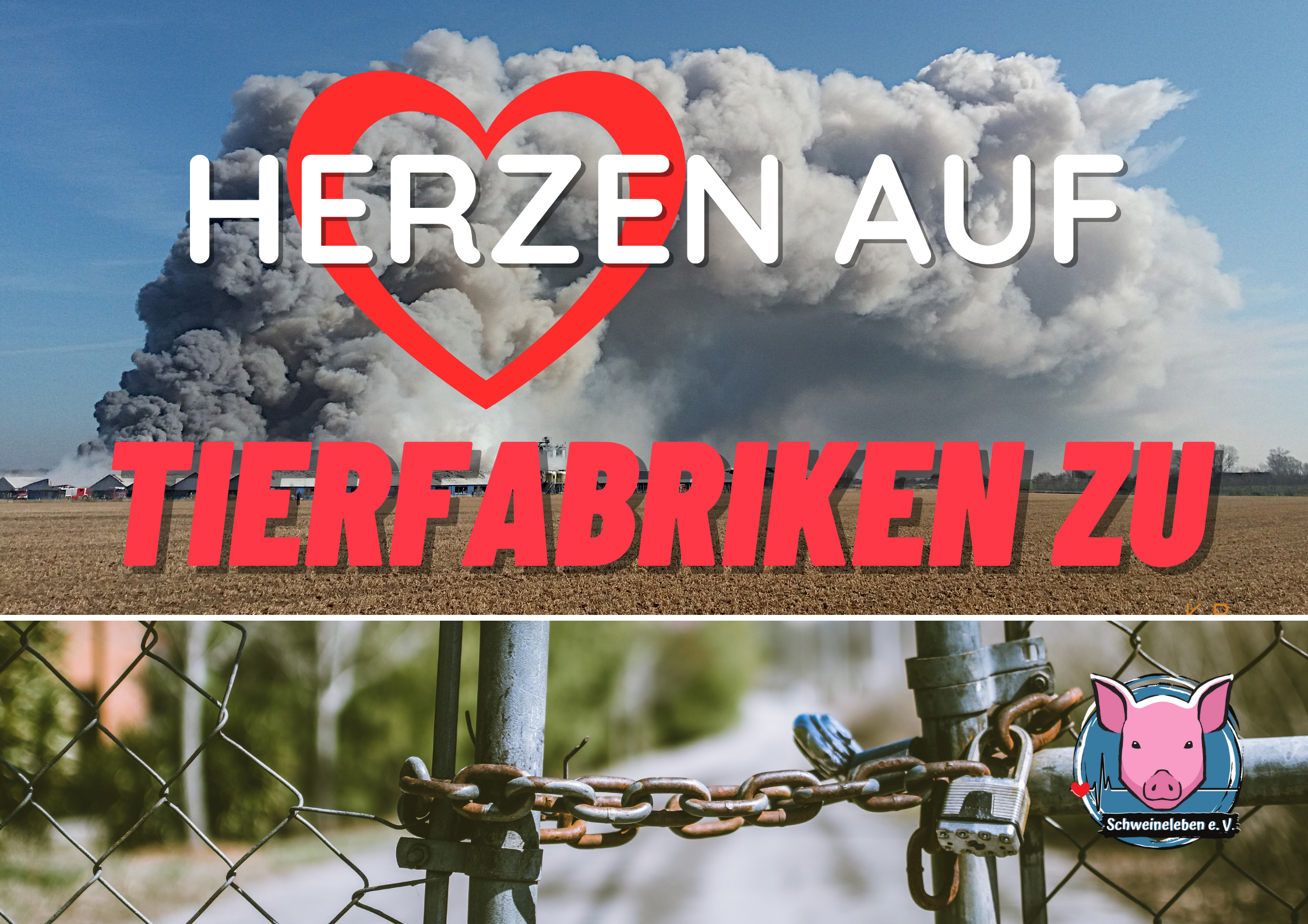 Herzen auf - Tierfabriken zu