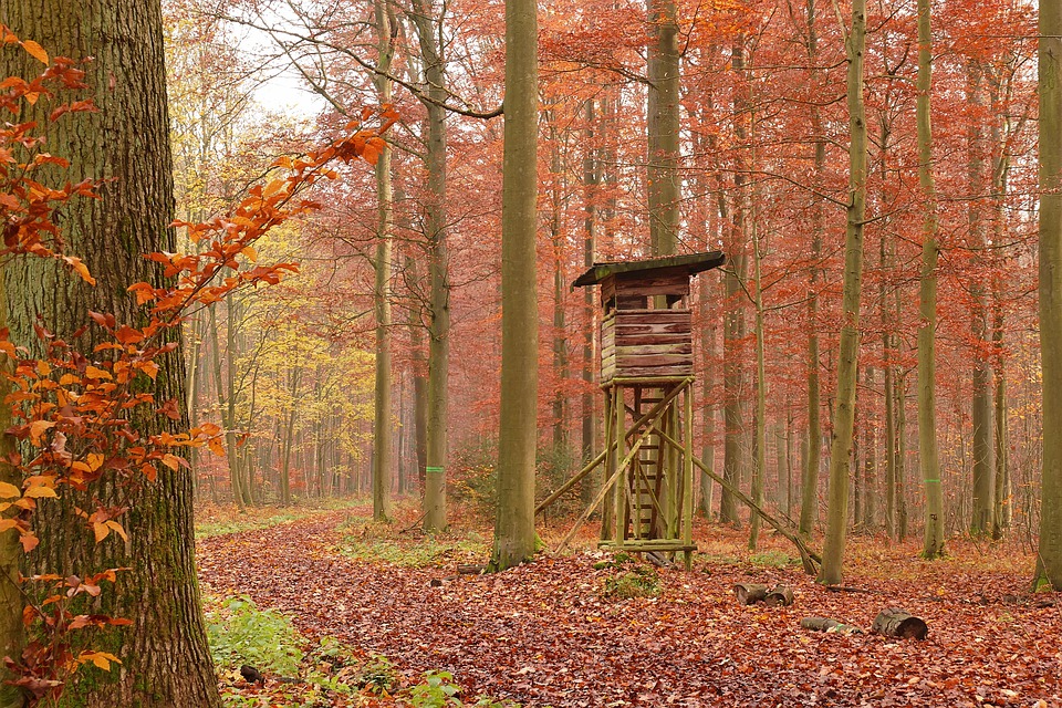 Hochsitz - Ansitzjagd