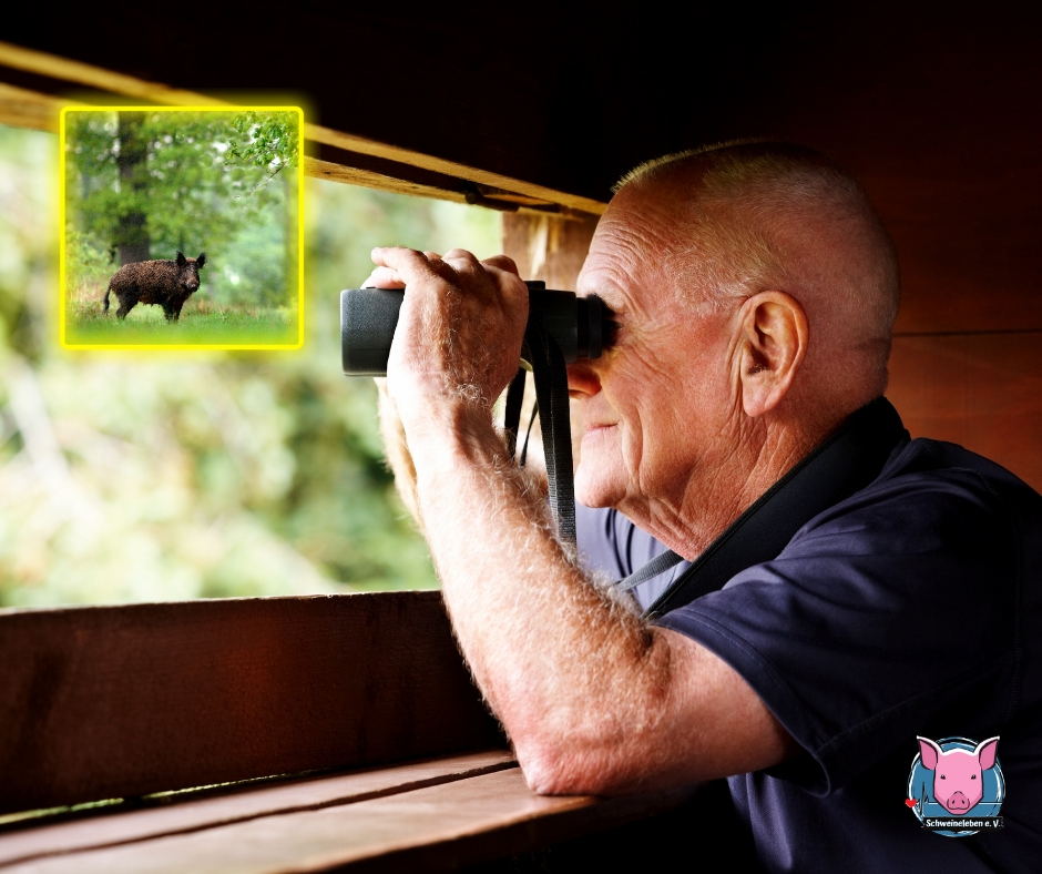 Monitoring Schweinebestände