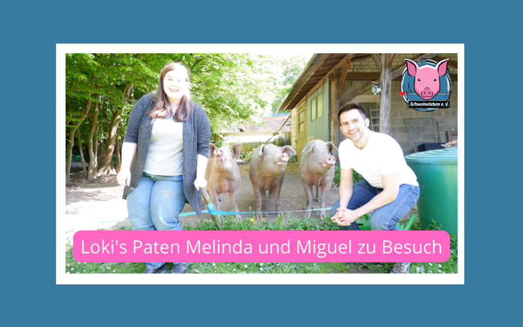 Miguel und Melinda zu Besuch bei Loki