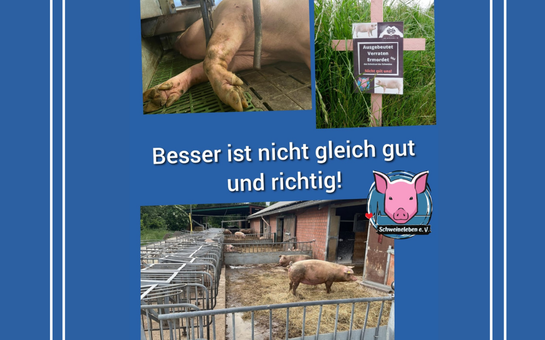 Biohof - Besser ist nicht gleich gut und richtig