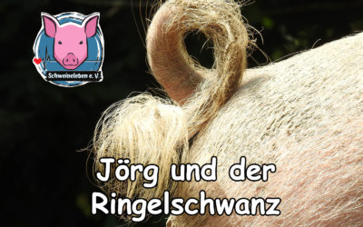 Jörg und der Ringelschwanz der Schweine