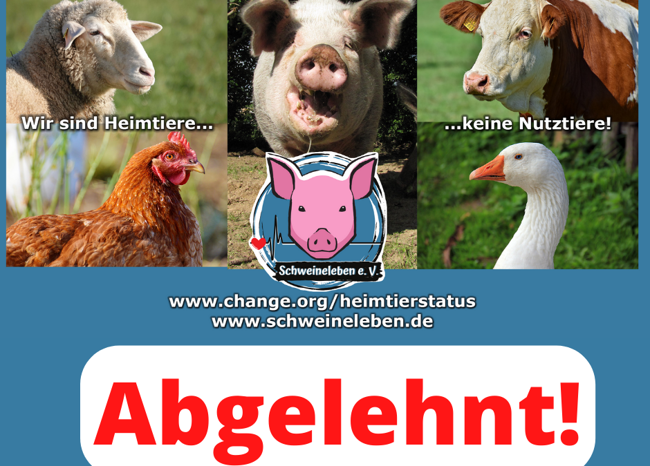 Heimtierstatus für Schweine abgelehnt!