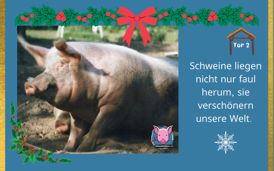 Schweineleben Adventskalender Tor 2