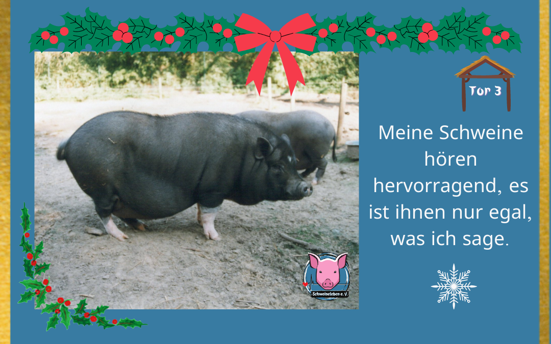 Schweineleben Adventskalender Tor 3