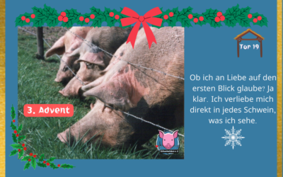 Adventskalender – Stalltor 18