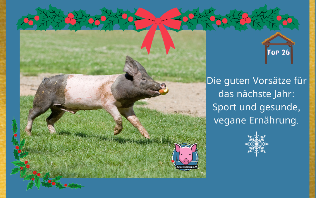 Schweineleben Adventskalender Tor 26