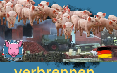 Deutschland 2023: Wenn 2000 Ferkel verbrennen…