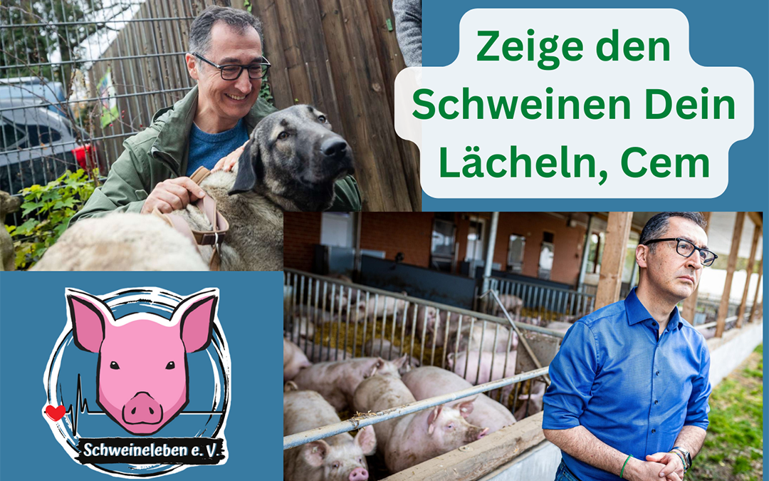 Ein Lächeln für die Schweine, lieber Cem Özdemir!