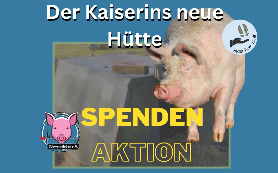 Spendenaktion - Der Kaiserins neue Hütte