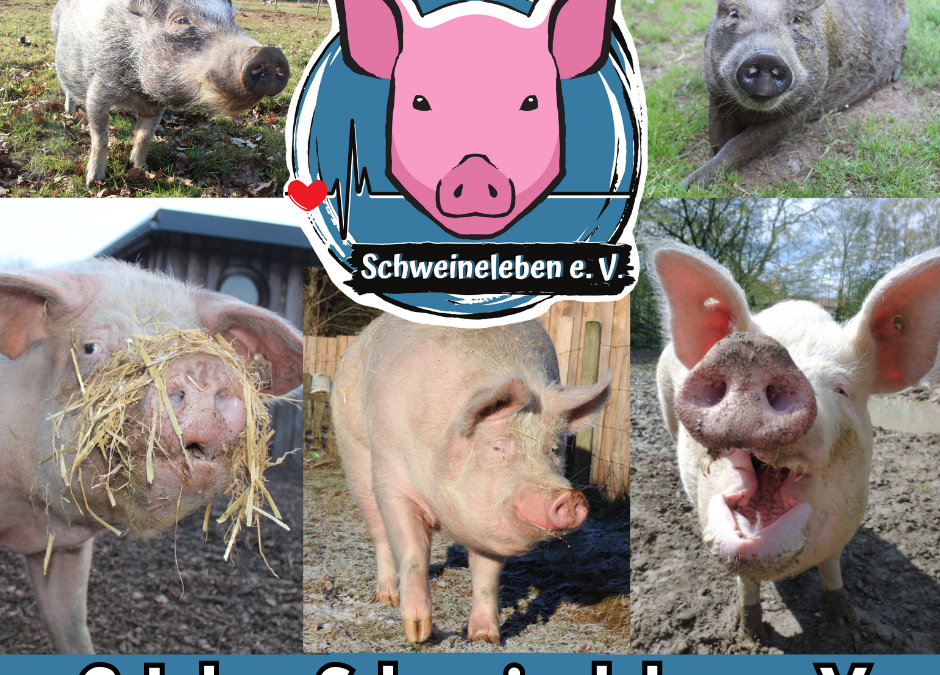 2 Jahre Schweineleben e.V
