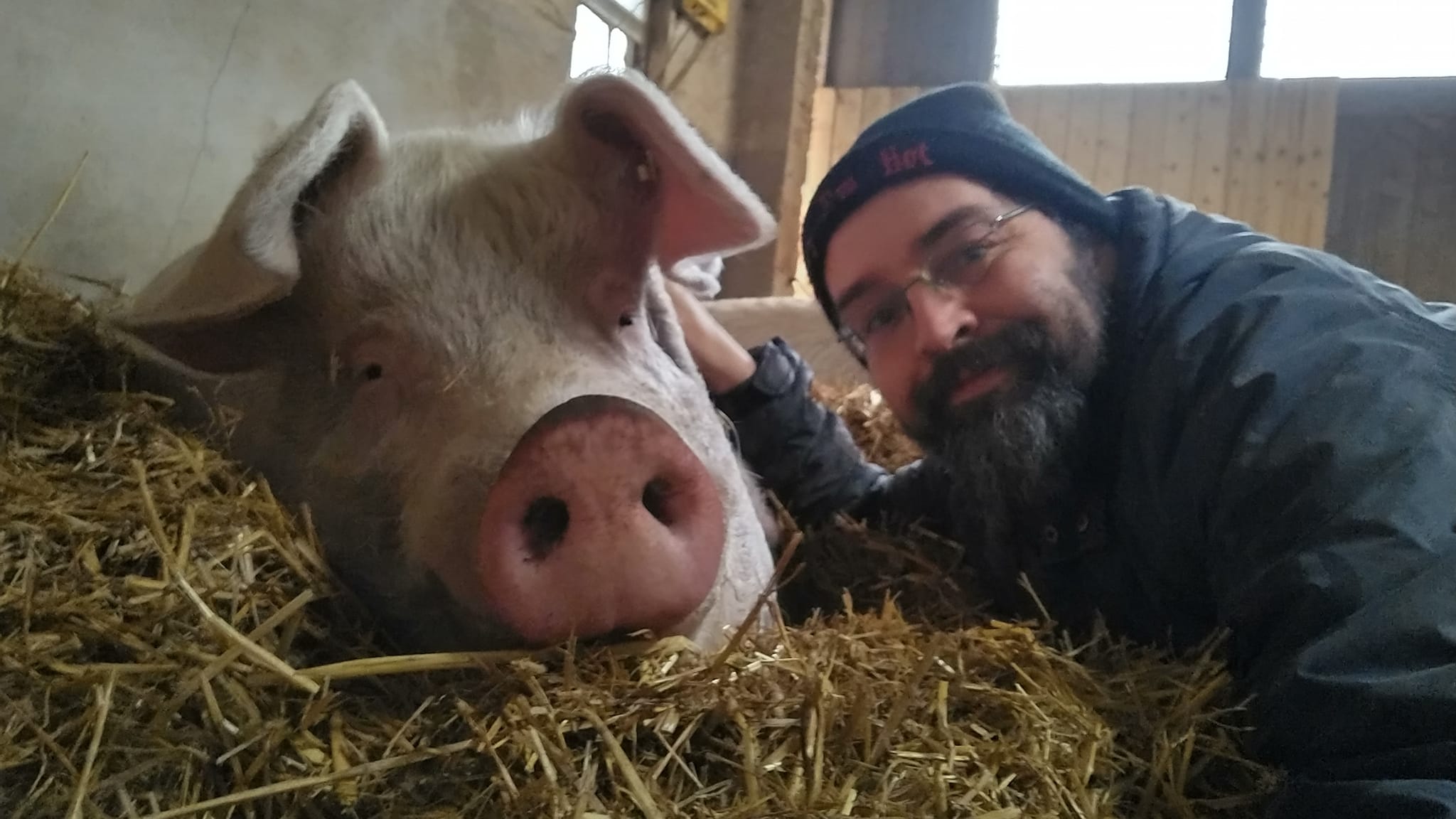 Schweinehüter Jörg mit Loki