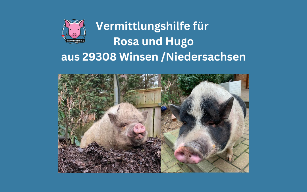 Vermittlungshilfe Rosa und Hugo 29308 Winsen