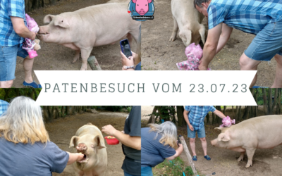 Patenschaftsbesuch für Gandhi vom 23.07.2023