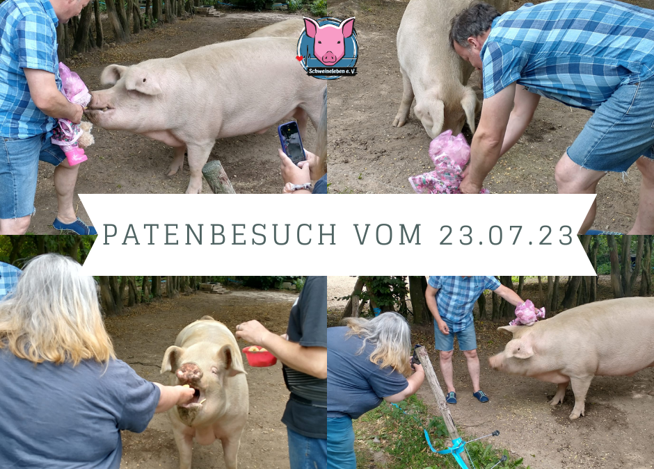 Patenbesuch von Pinky, Birgit und Frank bei Gandhi