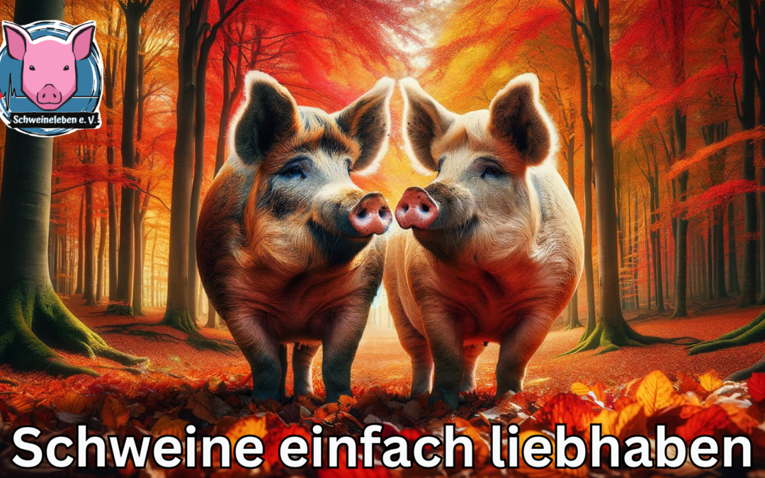Schweine im Herbstwald…