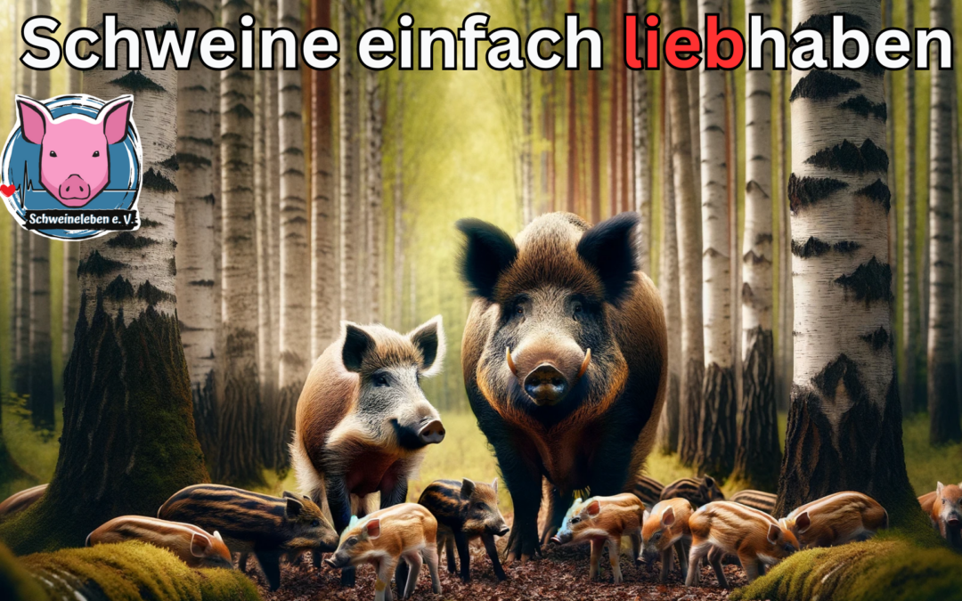 Wildschweine