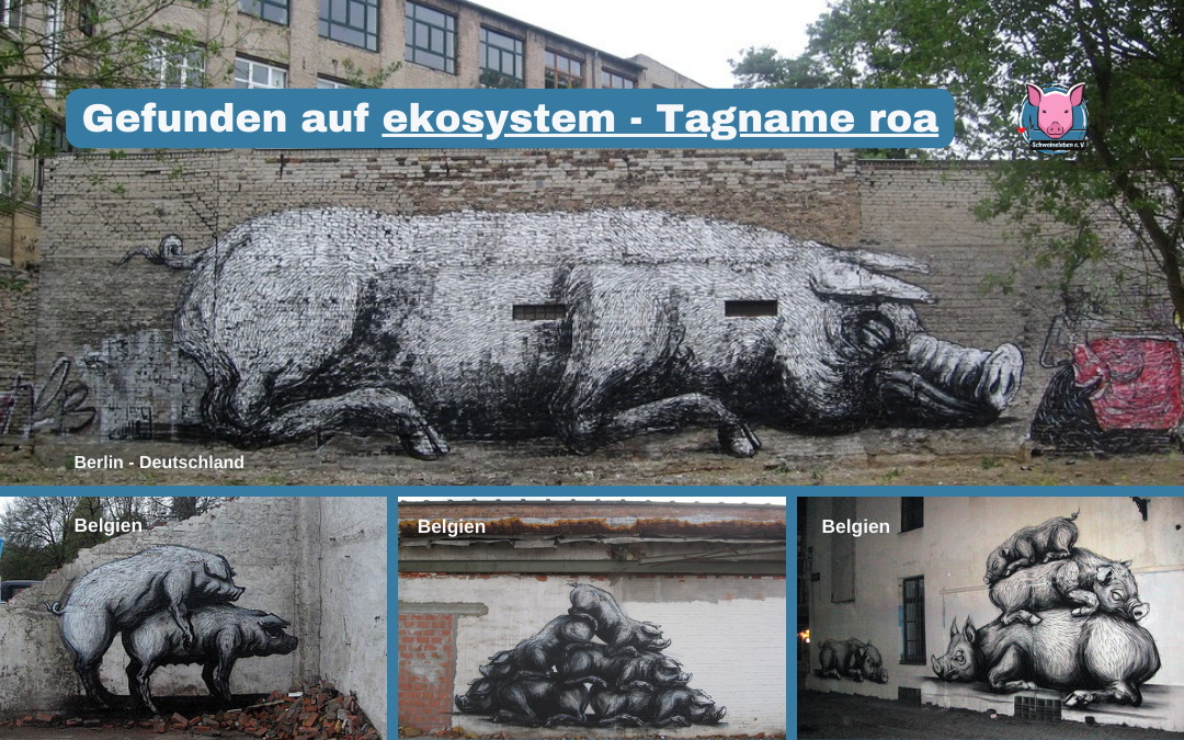 Schweine in der Kunst - Graffiti - diverse Schweine