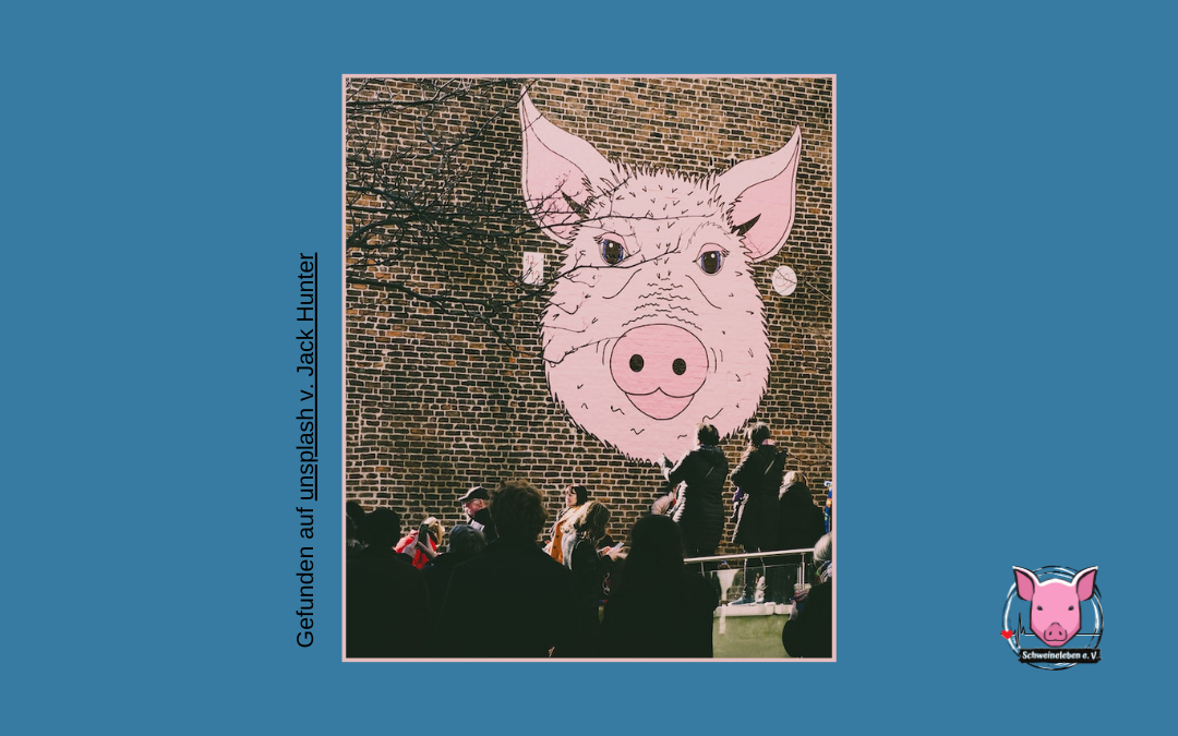 Schweine in der Kunst - Graffiti - Schweinekopf - Chinatown/Liverpool