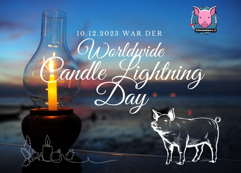 Worldwide Candle Lightning Day 2023