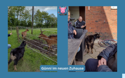 Günni hat ein neues Zuhause gefunden