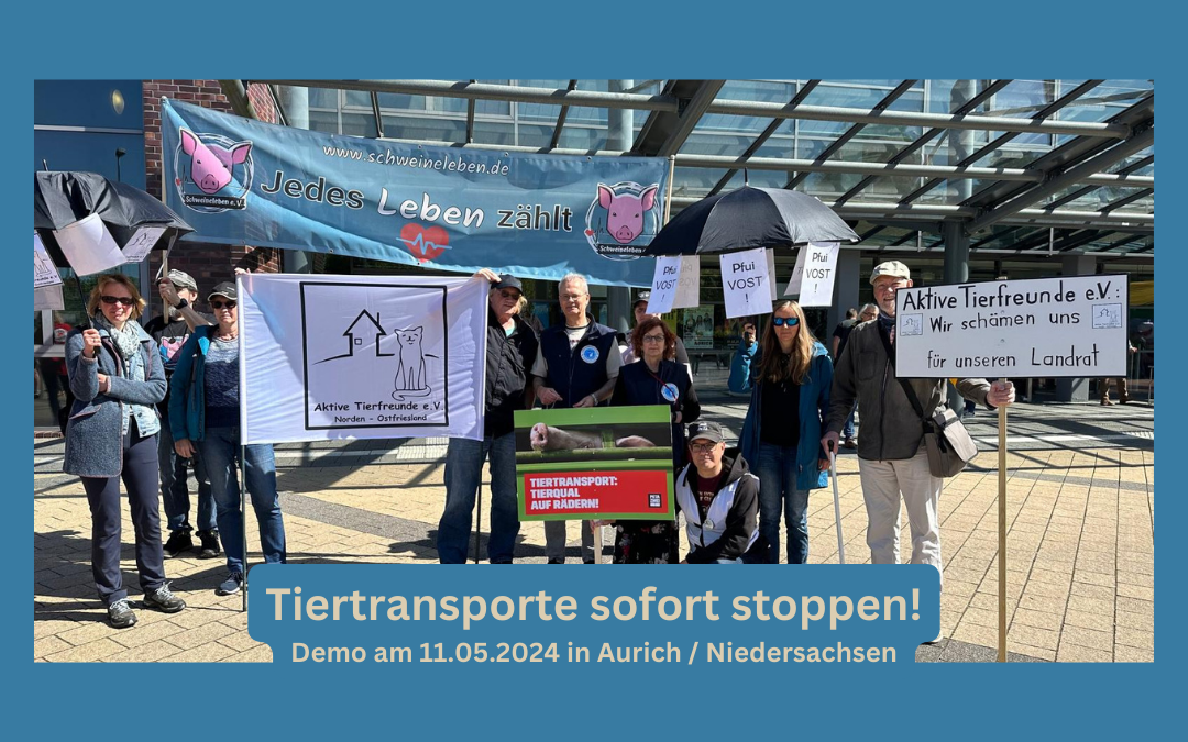 Demo am 11.05.2024 in Aurich – Tiertransporte sofort stoppen!