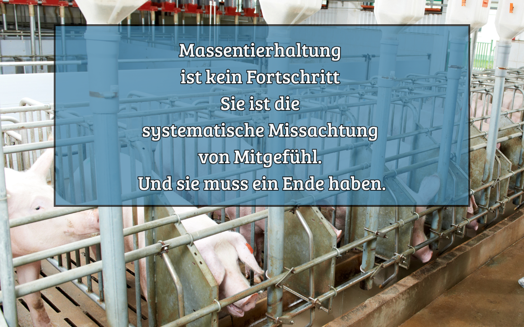 Massentierhaltung - Kein Fortschritt